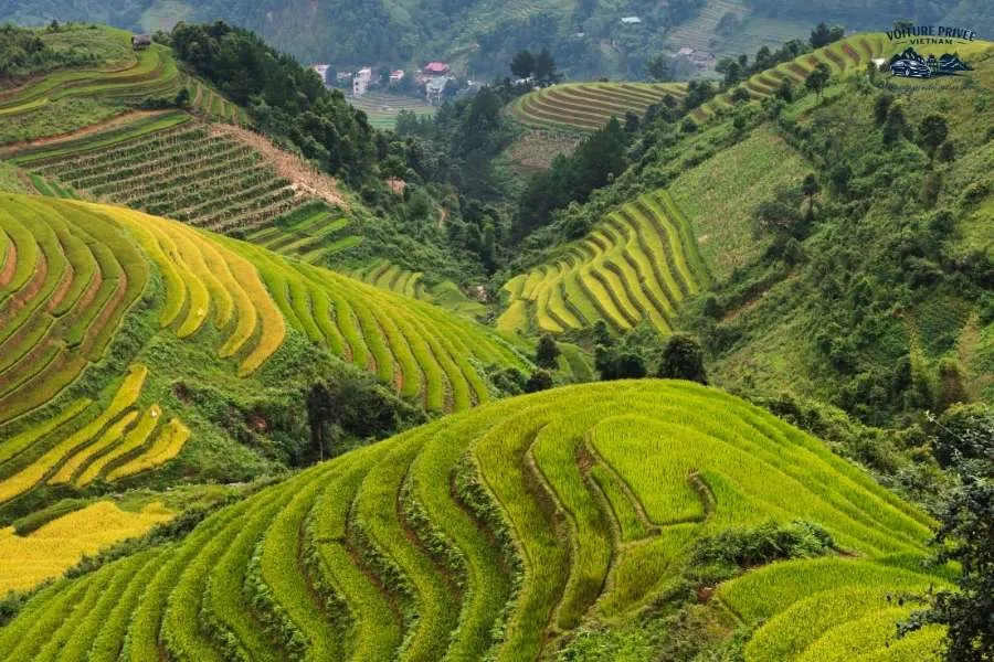 Voiture Privée de Hanoï à Sapa - Voiture Privee Vietnam