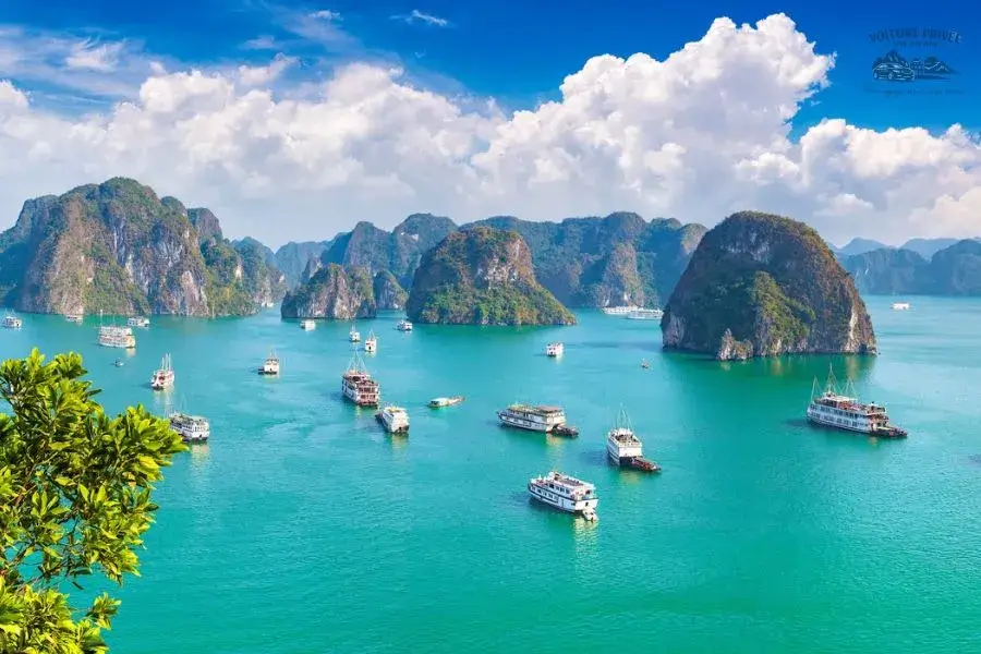 Voiture privée de Mai Chau à la baie d’Halong - Voiture Privée Vietnam