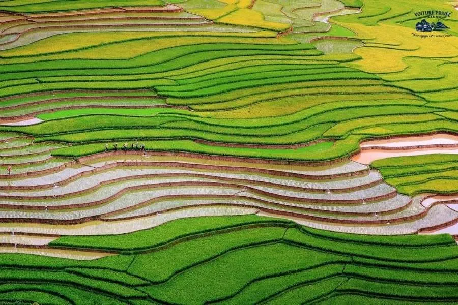 Baie d’Halong À Mu Cang Chai En Voiture Privée - Voiture Privee Vietnam