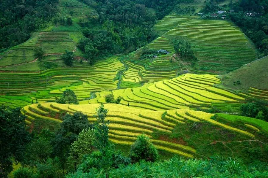 Transfert Privé De Hai Phong À Ha Giang - Voiture Privee Vietnam