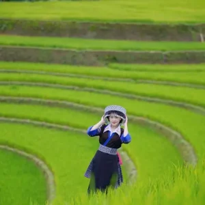 Transfert Privé De Hai Phong À Mu Cang Chai - Voiture Privée Vietnam