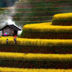 Transfert Privé De Hai Phong À Mu Cang Chai – Voiture Privée Vietnam