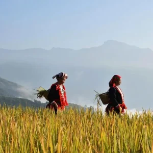 Transfert Privé De Sapa À Lo Lo Chai - Voiture Privée Vietnam