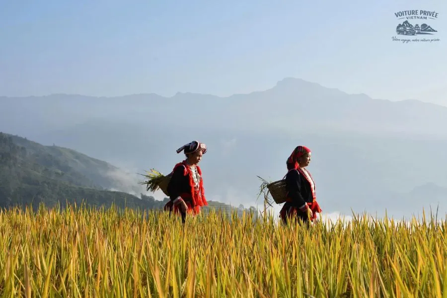 Transfert Privé De Sapa À Lo Lo Chai - Voiture Privée Vietnam
