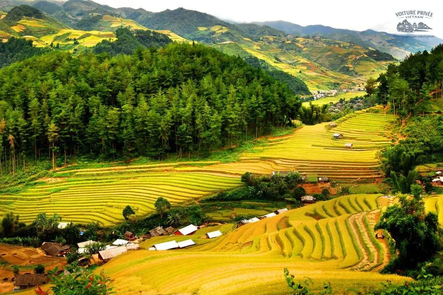 Transfert Privé En Voiture De Ninh Binh À Pu Luong - Voiture Privée Vietnam