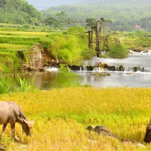 Transfert Privé En Voiture De Ninh Binh À Pu Luong - Voiture Privée Vietnam