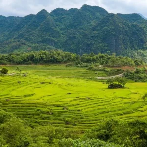 Transfert Privé De Ninh Binh À Pu Luong En Voiture - Voiture Privée Vietnam