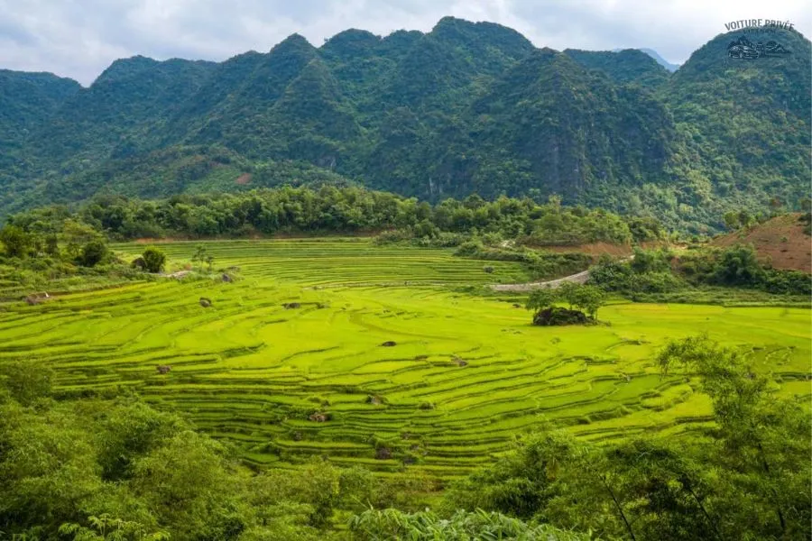 Transfert Privé De Ninh Binh À Pu Luong En Voiture - Voiture Privée Vietnam