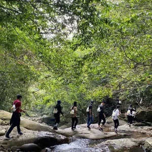 Excursion au Parc National de Bach Ma - Voiture Privée Vietnam
