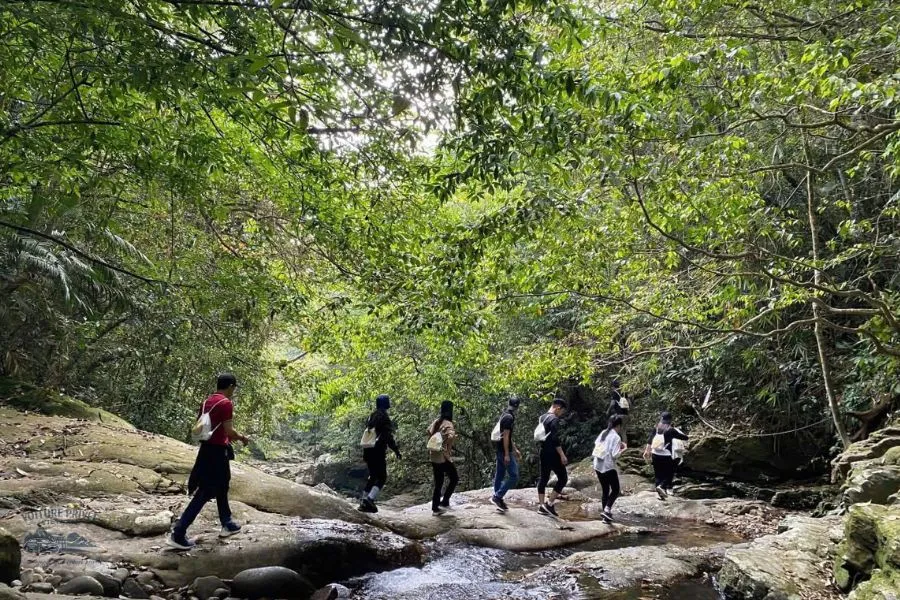 Excursion au Parc National de Bach Ma - Voiture Privée Vietnam